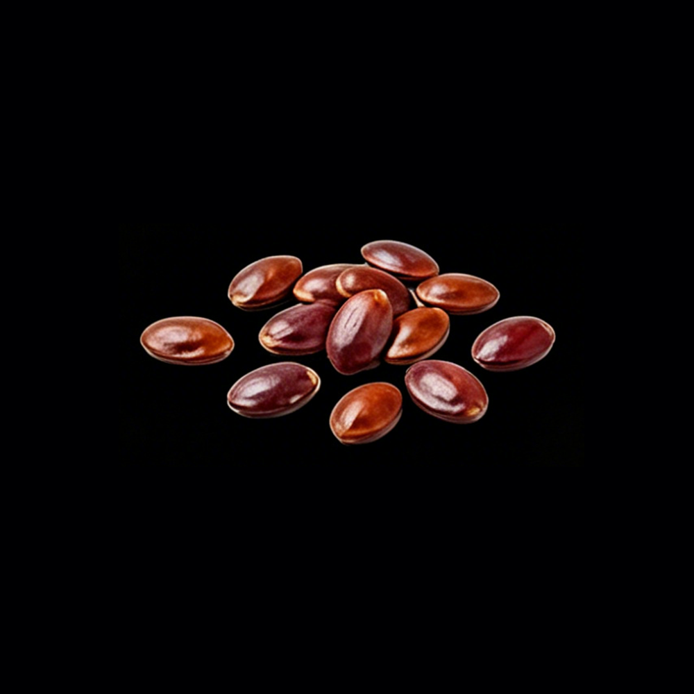 Sour Jujube Seed