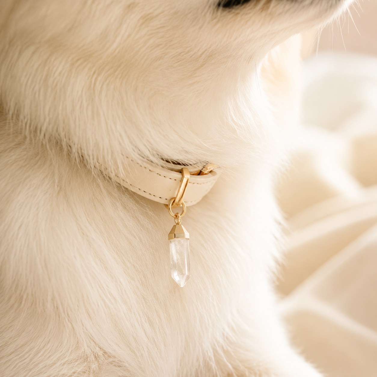 Pet collar charm worn by a companion